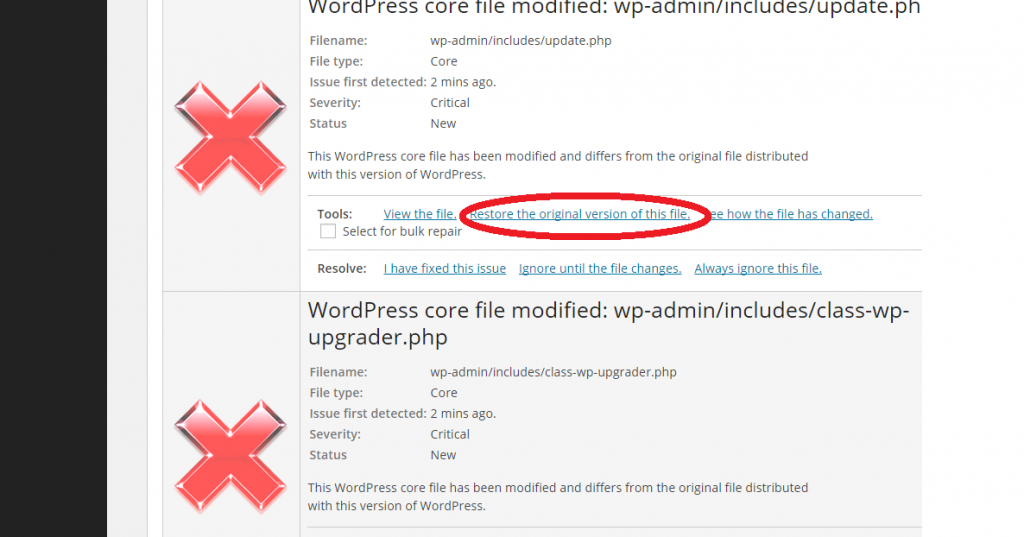 Wordpress Updater Restore Original Version