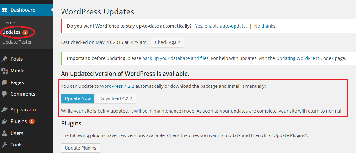 how-to-fix-wordpress-update-not-showing-wordpress-cheat